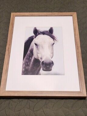 Kirkland Signature Neutral Horse Portrait Wall Art